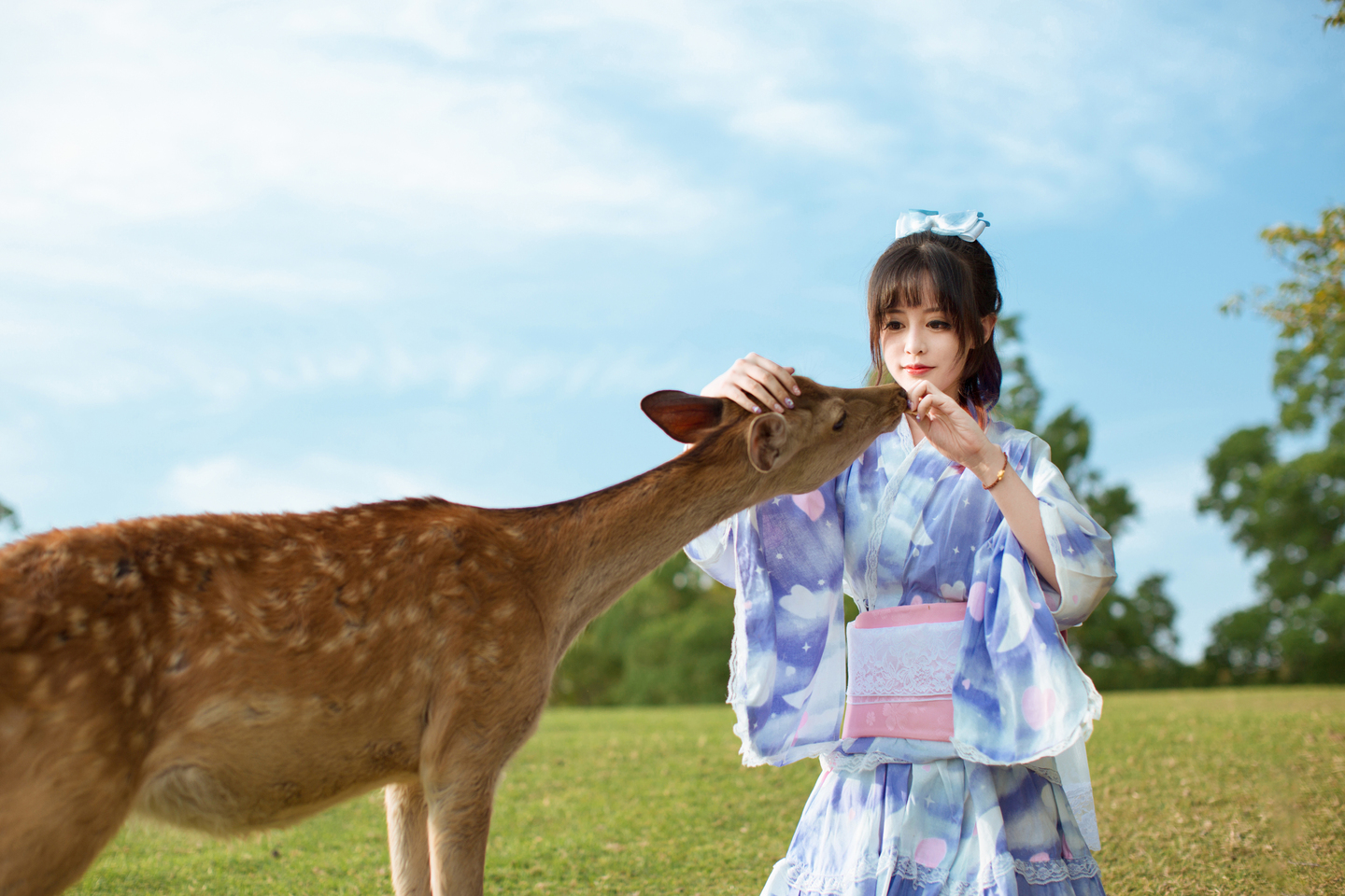 TYA事务所 艾斯 京都·奈良篇