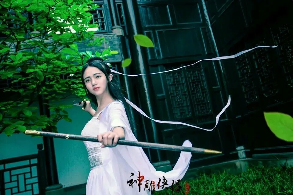 TYA事务所 神雕侠侣